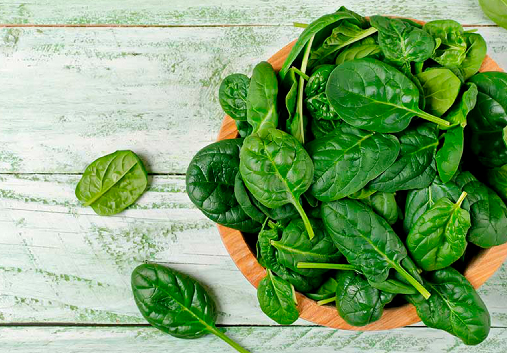 DOCENTE DE LA EAP DE NUTRICIÓN HUMANA HABLÓ SOBRE LA INOCUIDAD DE LOS VEGETALES EN PROGRAMA DE GASTÓN ACURIO