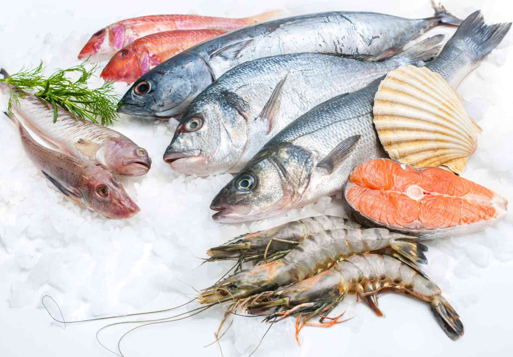 NUTRICIONISTA DE LA NORBERT WIENER ALERTA A LA POBLACIÓN SOBRE EL CONSUMO DE PESCADO DESPUÉS DEL DERRAME DE PETRÓLEO EN VENTANILLA