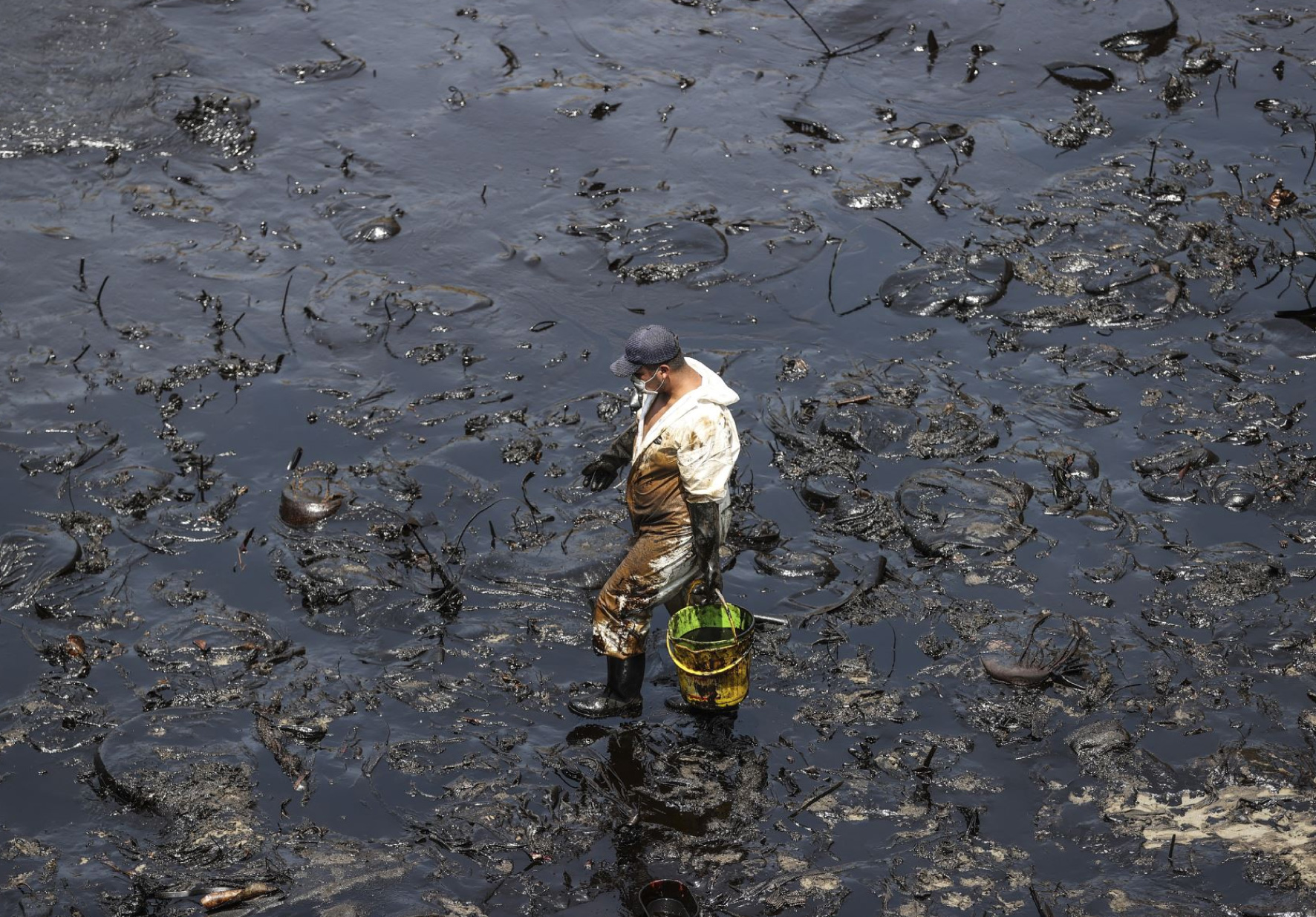 NUTRICIONISTA DE LA NORBERT WIENER ALERTA A LA POBLACIÓN SOBRE EL CONSUMO DE PESCADO DESPUÉS DEL DERRAME DE PETRÓLEO EN VENTANILLA
